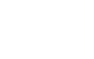 nuggetphase logo