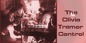 The Olivia Tremor Control interview